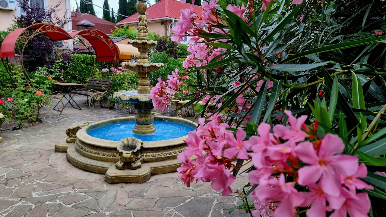 Гостиница Пансионат Орхидея Приветное-232