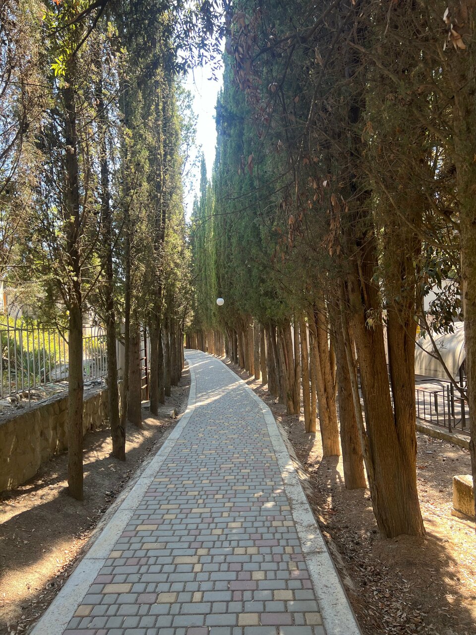 Гостиница Пансионат Орхидея Приветное-218