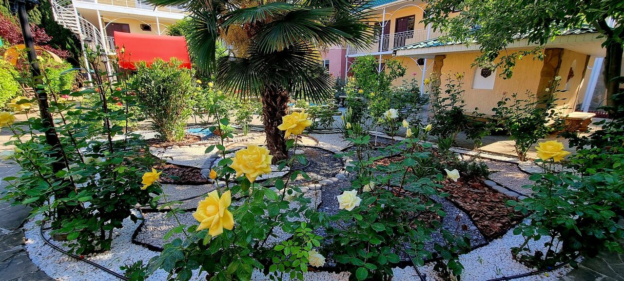 Гостиница Пансионат Орхидея Приветное-79