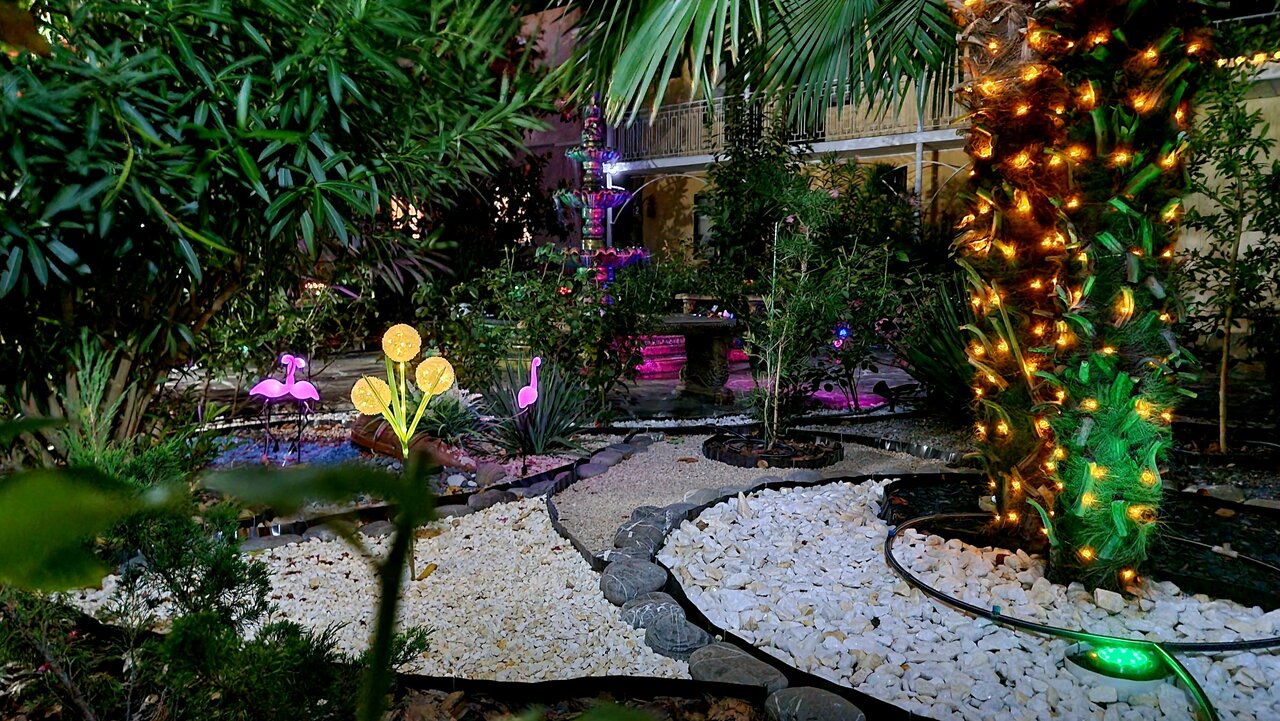 Гостиница Пансионат Орхидея Приветное-54