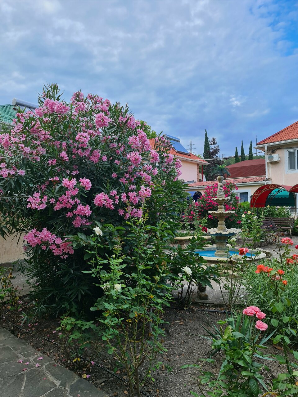 Гостиница Пансионат Орхидея Приветное-222