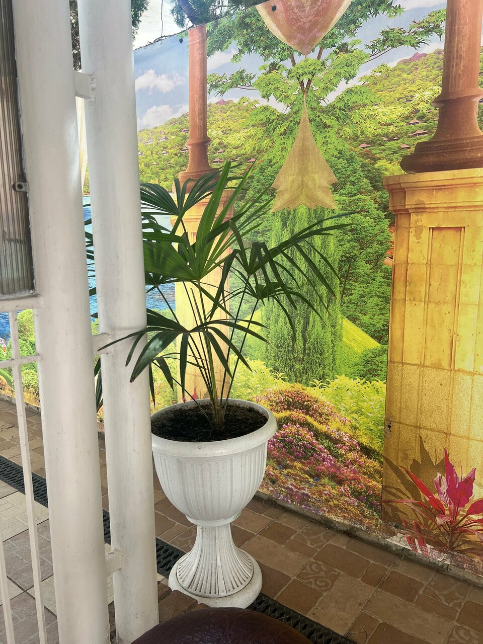 Гостиница Пансионат Орхидея Приветное-233