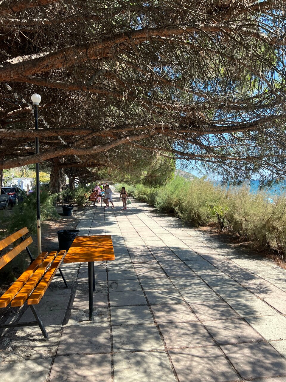 Гостиница Пансионат Орхидея Приветное-229