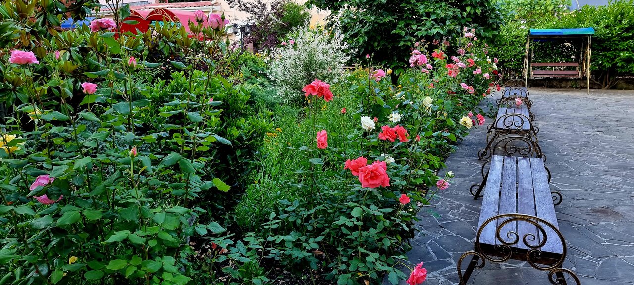 Гостиница Пансионат Орхидея Приветное-243