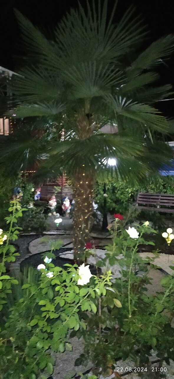 Гостиница Пансионат Орхидея Приветное-247