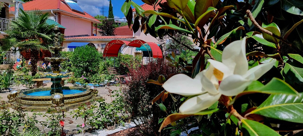 Гостиница Пансионат Орхидея Приветное-53