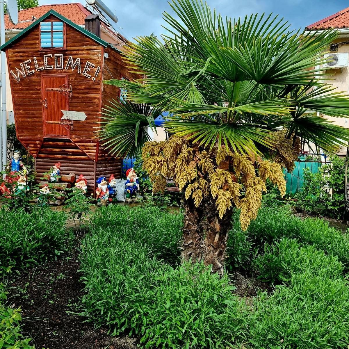 Гостиница Пансионат Орхидея Приветное-95