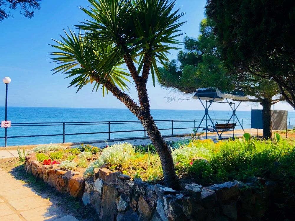 Гостиница Пансионат Орхидея Приветное-39