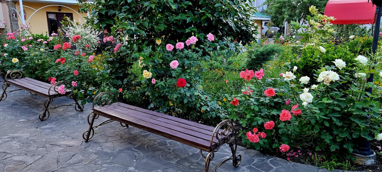 Гостиница Пансионат Орхидея Приветное-70