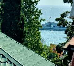 Гостиница Пансионат Орхидея Приветное-225