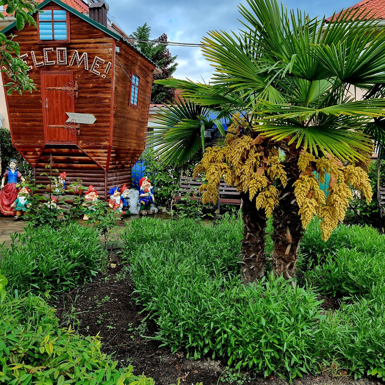 Гостиница Пансионат Орхидея Приветное-58