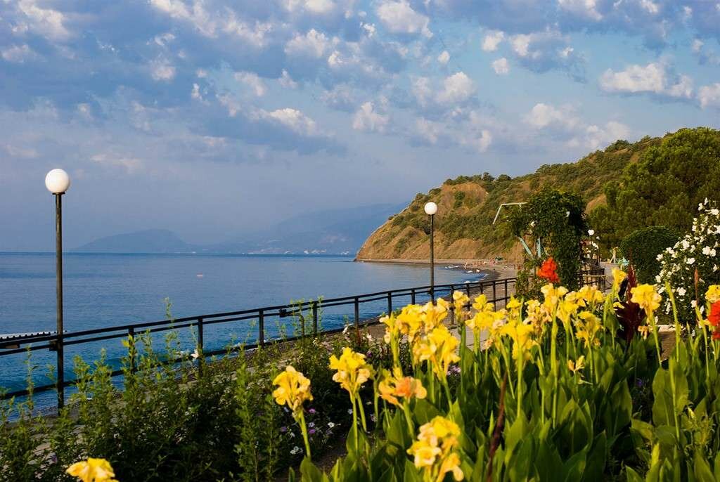 Гостиница Пансионат Орхидея Приветное-42