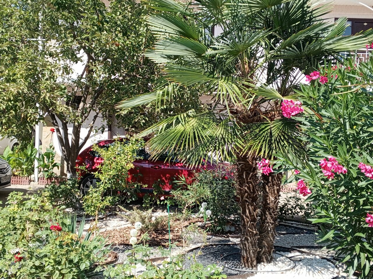 Гостиница Пансионат Орхидея Приветное-226