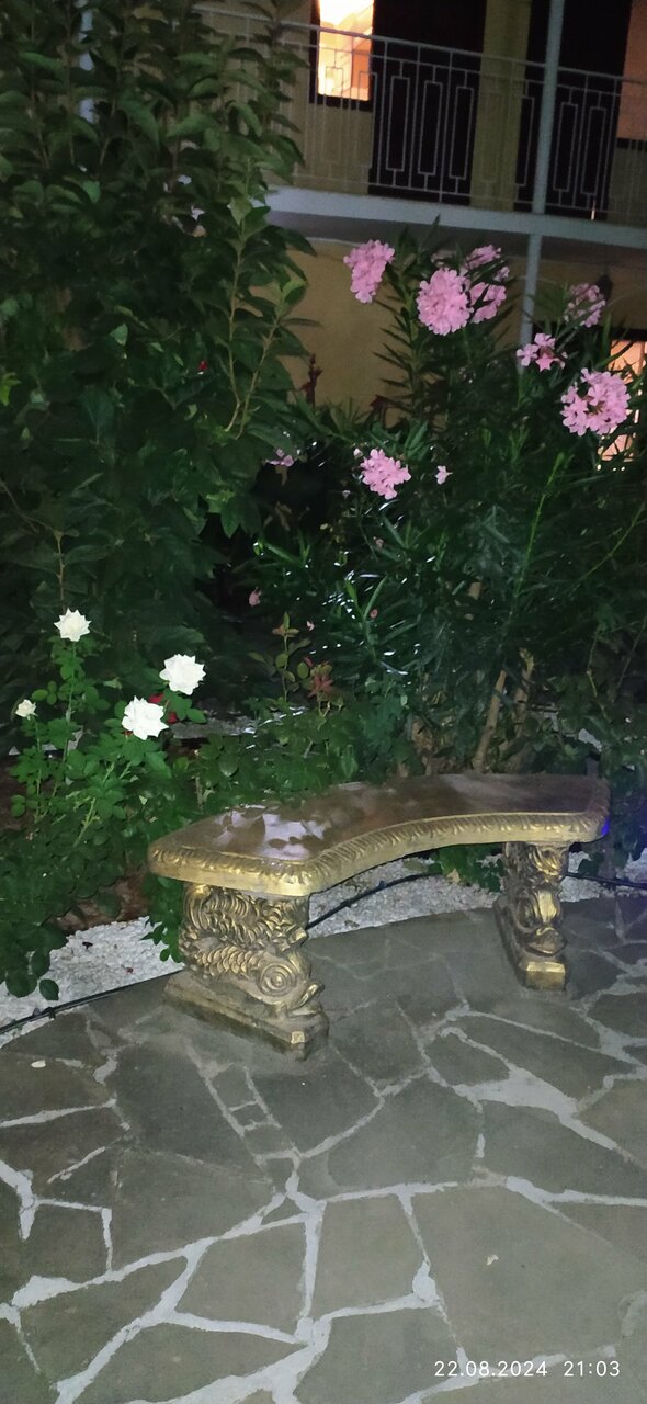 Гостиница Пансионат Орхидея Приветное-231