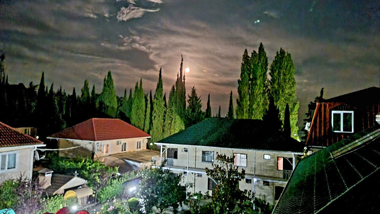 Гостиница Пансионат Орхидея Приветное-123