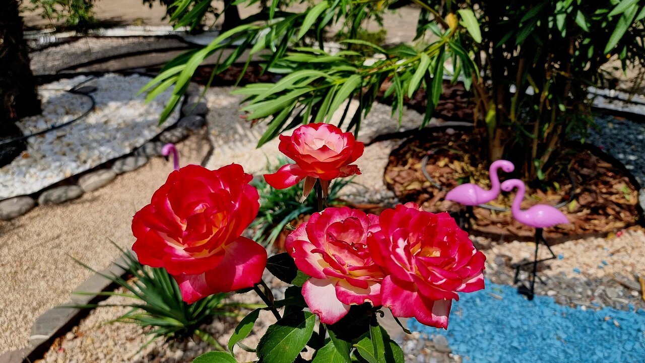 Гостиница Пансионат Орхидея Приветное-87