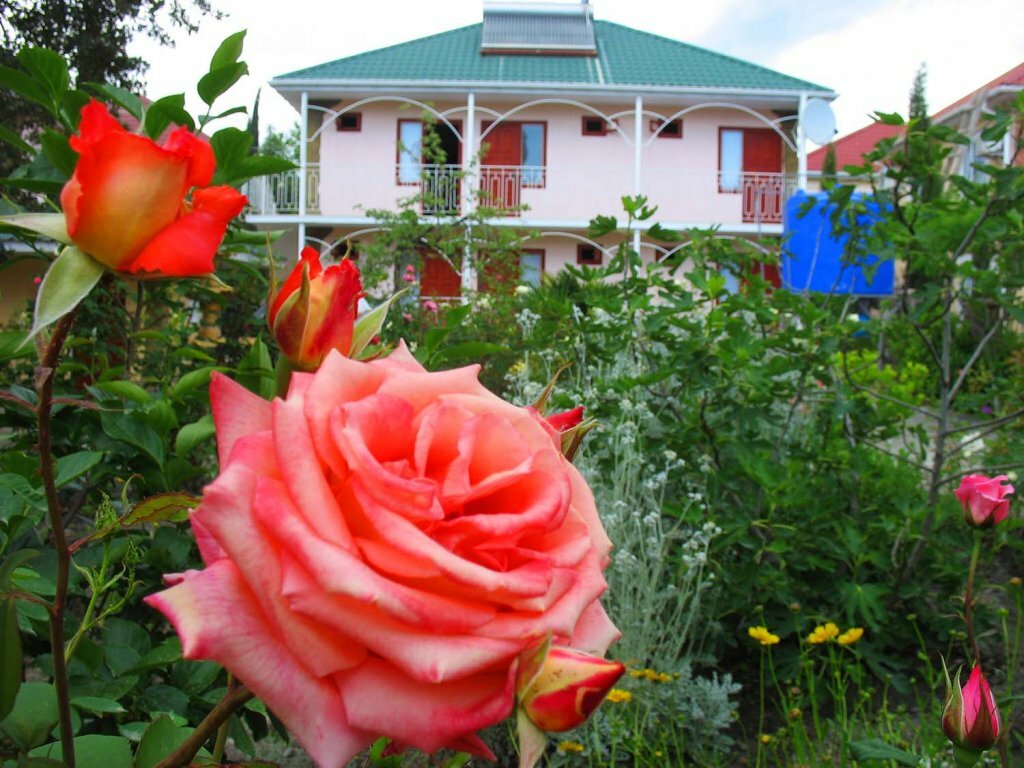 Гостиница Пансионат Орхидея Приветное-12