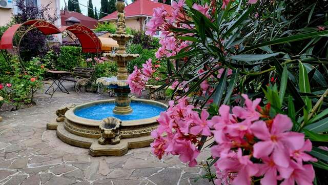 Гостиница Пансионат Орхидея Приветное-231