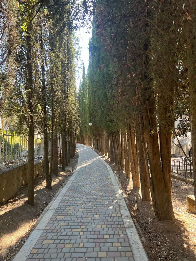 Гостиница Пансионат Орхидея Приветное-217