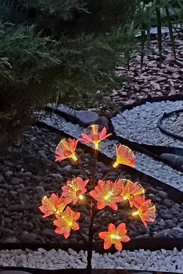 Гостиница Пансионат Орхидея Приветное-49