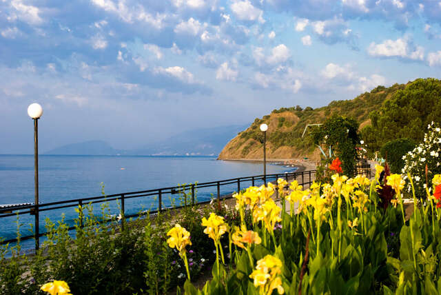 Гостиница Пансионат Орхидея Приветное-244