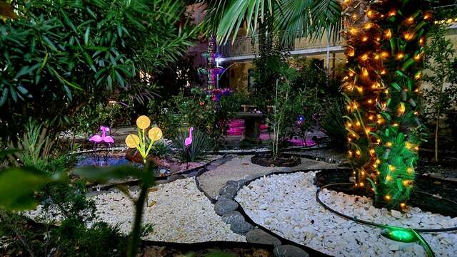 Гостиница Пансионат Орхидея Приветное-53