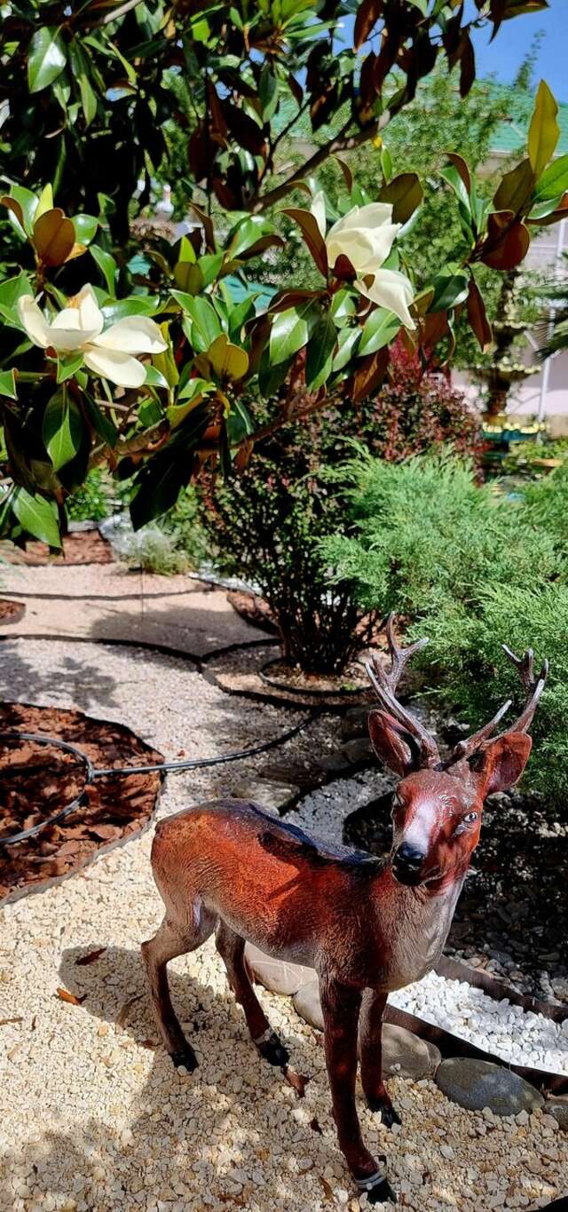 Гостиница Пансионат Орхидея Приветное-46