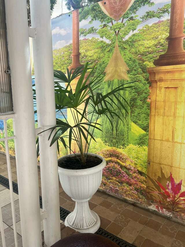 Гостиница Пансионат Орхидея Приветное-232