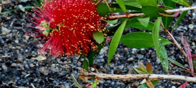 Гостиница Пансионат Орхидея Приветное-85