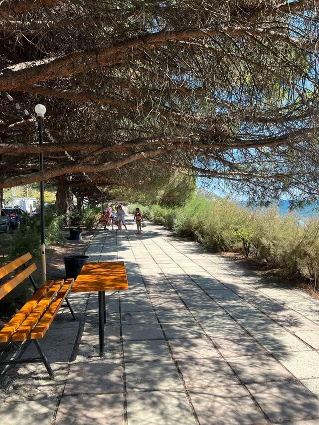 Гостиница Пансионат Орхидея Приветное-228