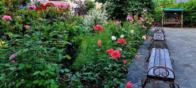 Гостиница Пансионат Орхидея Приветное-242