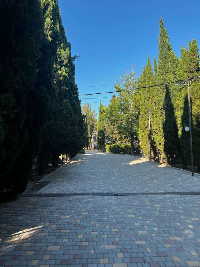 Гостиница Пансионат Орхидея Приветное-250