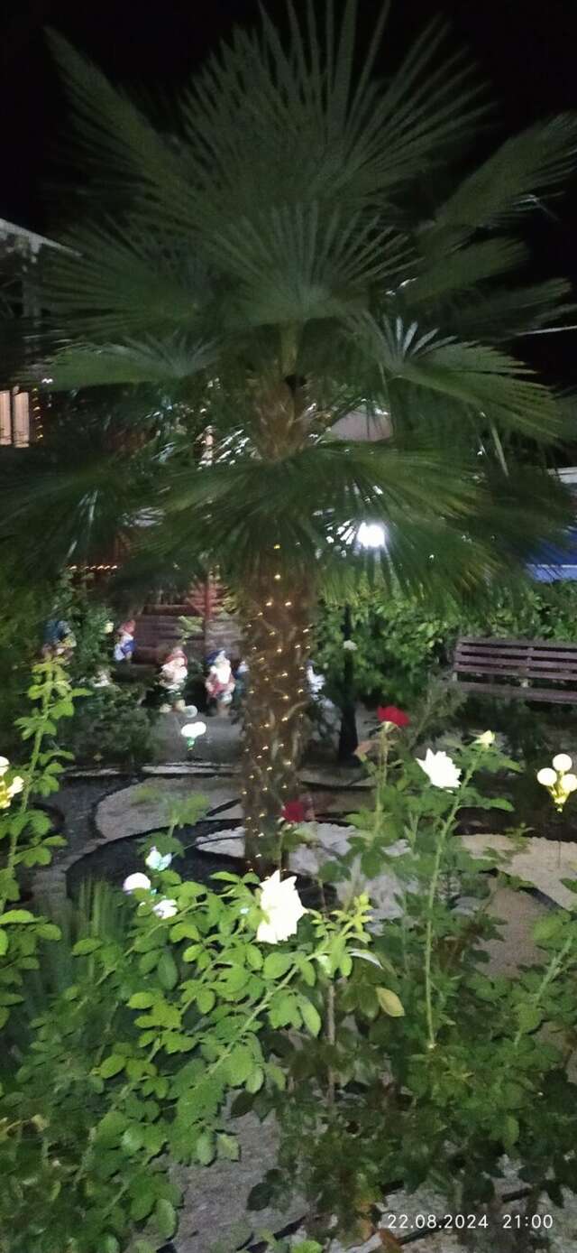 Гостиница Пансионат Орхидея Приветное-246