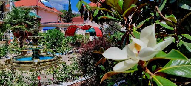 Гостиница Пансионат Орхидея Приветное-52