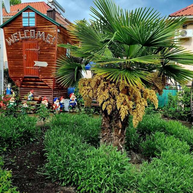 Гостиница Пансионат Орхидея Приветное-94