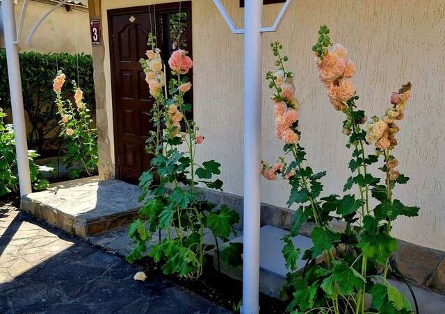 Гостиница Пансионат Орхидея Приветное-58