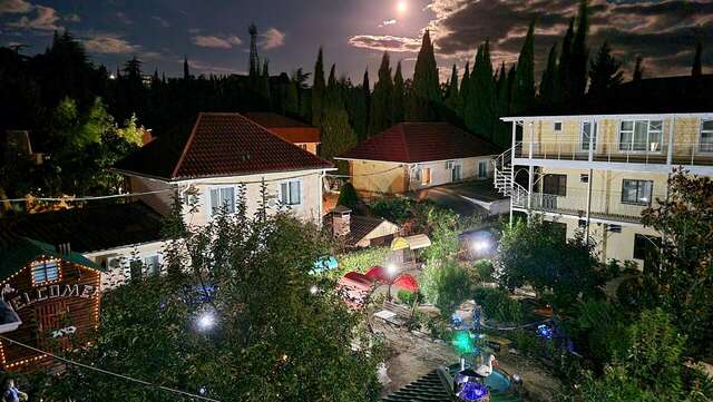 Гостиница Пансионат Орхидея Приветное-98