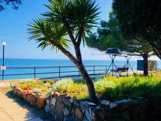 Гостиница Пансионат Орхидея Приветное-38