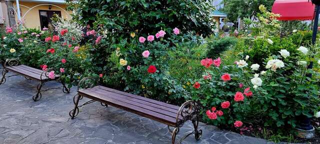 Гостиница Пансионат Орхидея Приветное-69