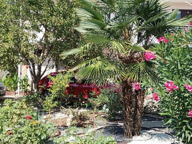 Гостиница Пансионат Орхидея Приветное-225