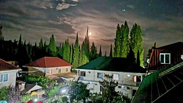 Гостиница Пансионат Орхидея Приветное-122